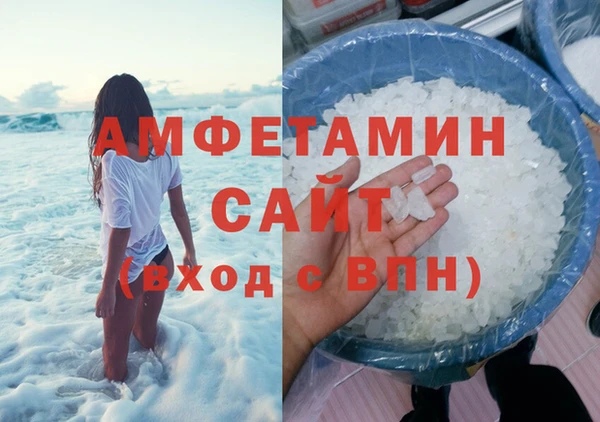 ПСИЛОЦИБИНОВЫЕ ГРИБЫ Бородино