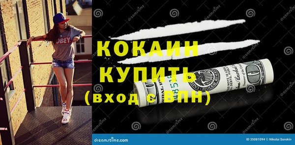 ПСИЛОЦИБИНОВЫЕ ГРИБЫ Бородино