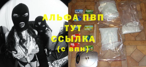 ПСИЛОЦИБИНОВЫЕ ГРИБЫ Бородино