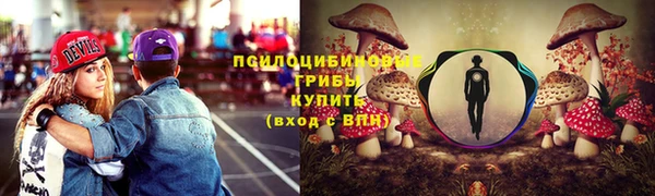 ПСИЛОЦИБИНОВЫЕ ГРИБЫ Бородино
