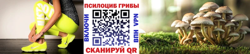 Галлюциногенные грибы мицелий блэк спрут маркетплейс Корсаков